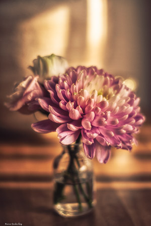 vintage vase